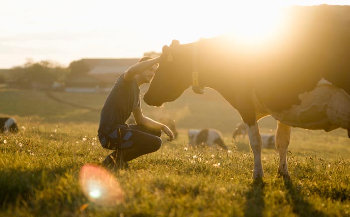 Paysans avec vaches - Fromagerie Mesot